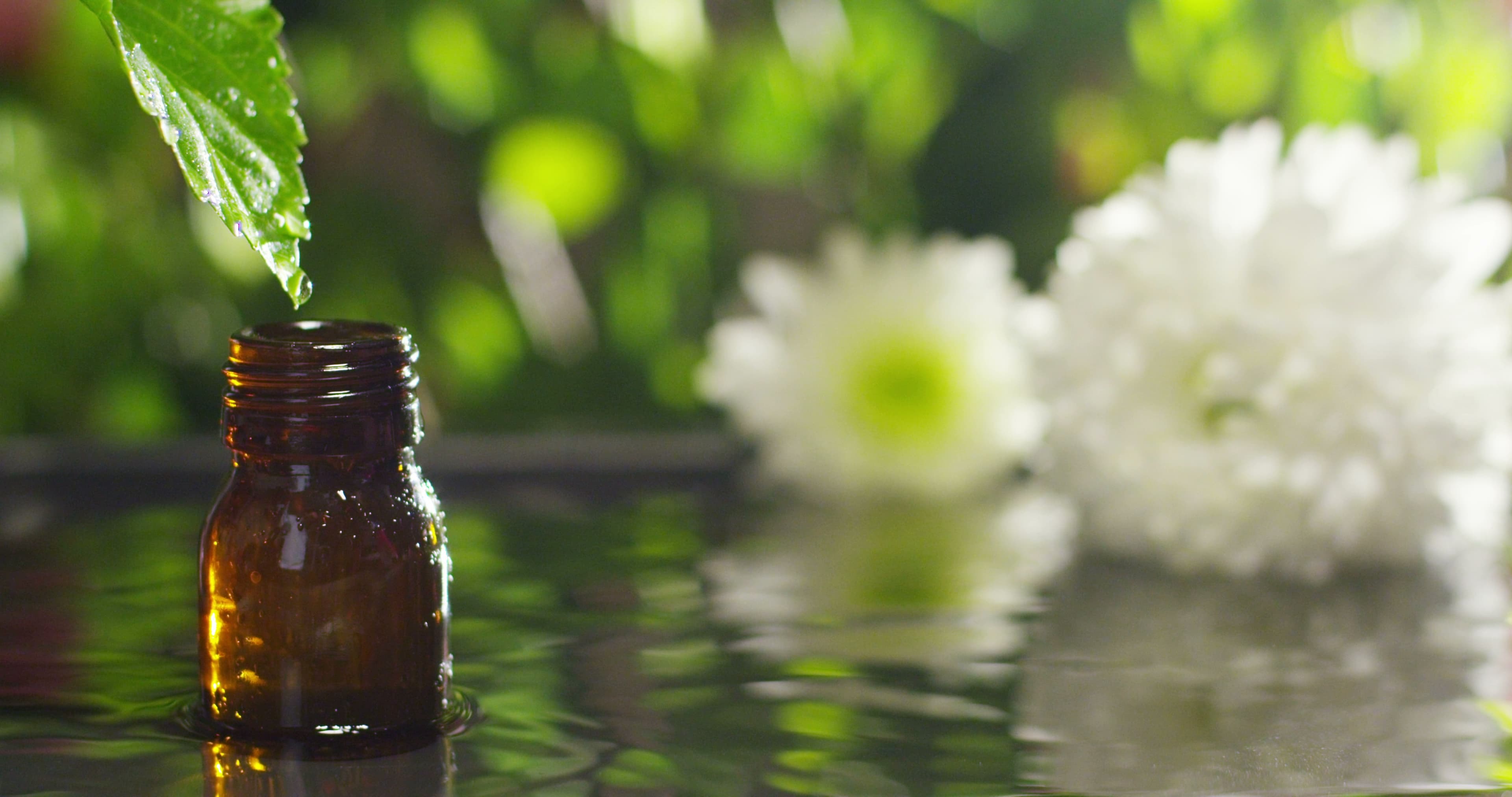 Essential oils still life with soft water droplets
